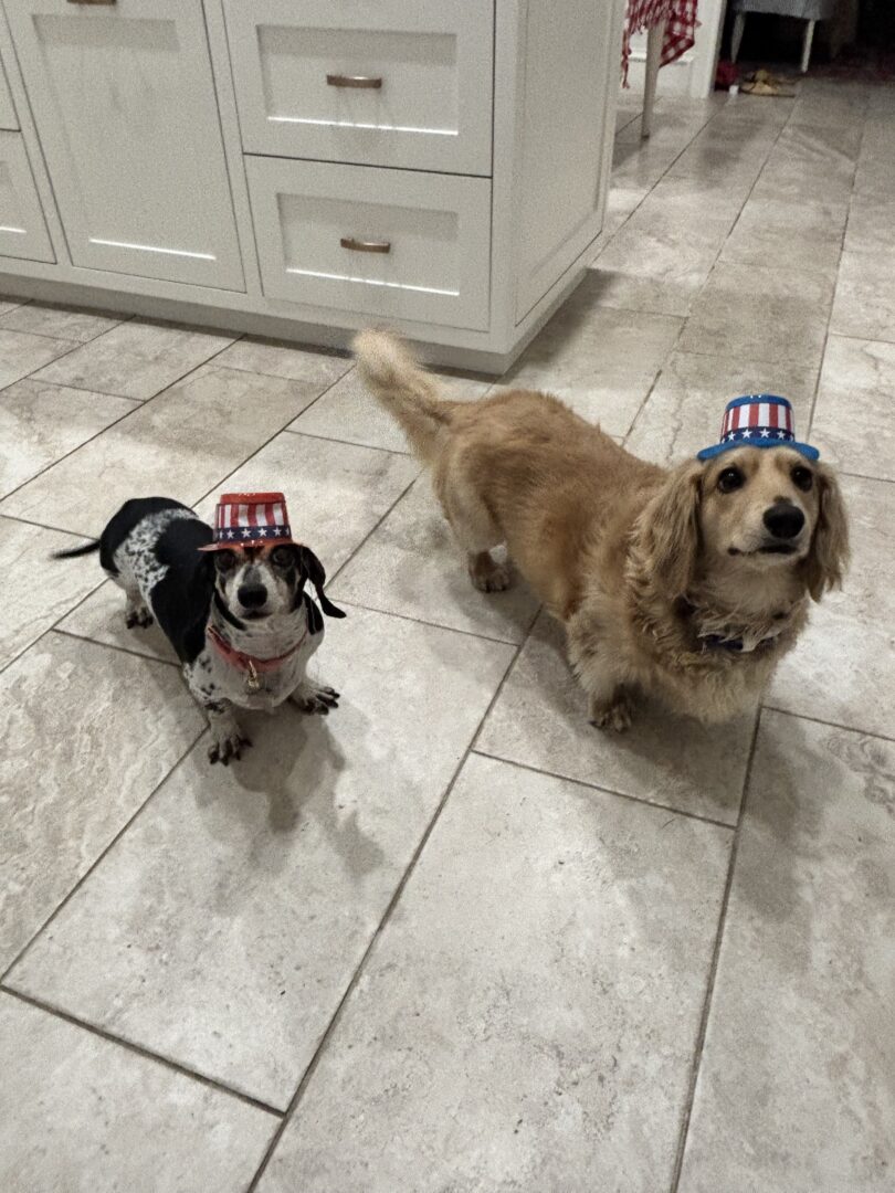 Gracie and Ponyboy