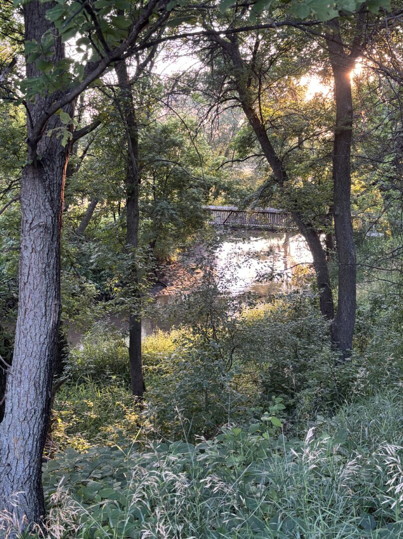 Plum Creek bridge Plum Creek bridge
