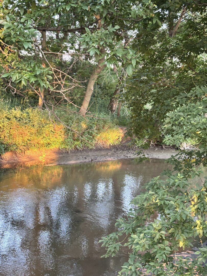 A Visit To Plum Creek
