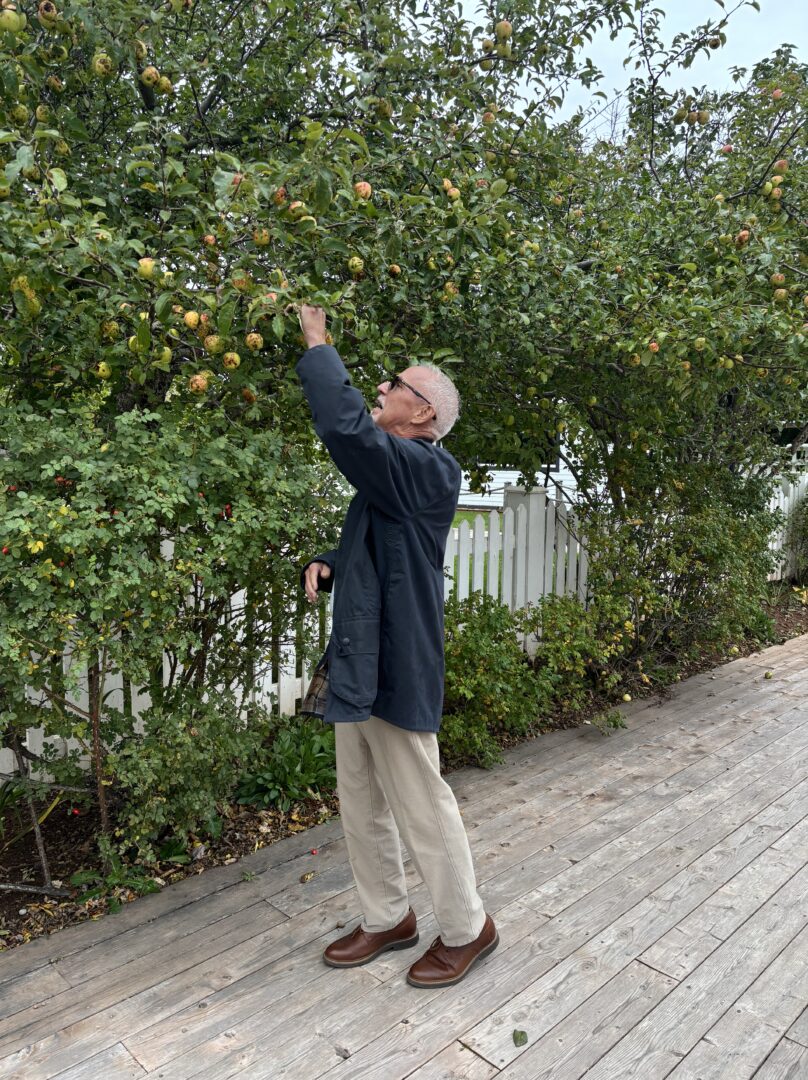 Eric and the apple tree Eric and the apple tree