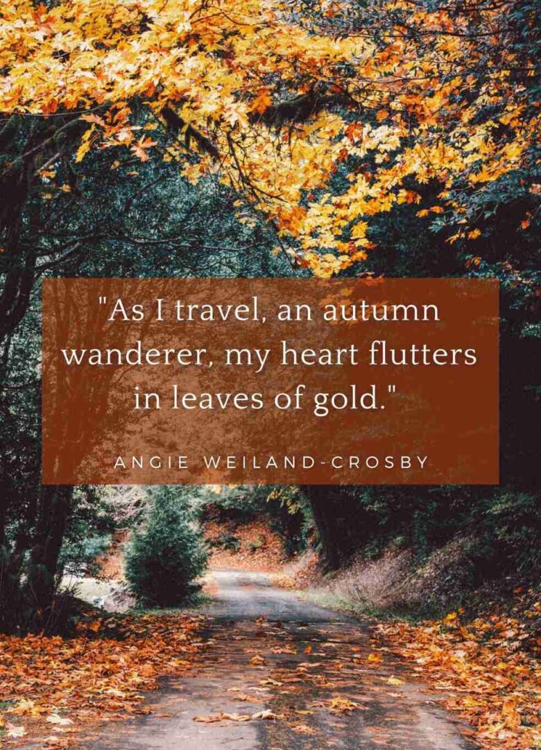 Friday Favorites Autumn Wanderer